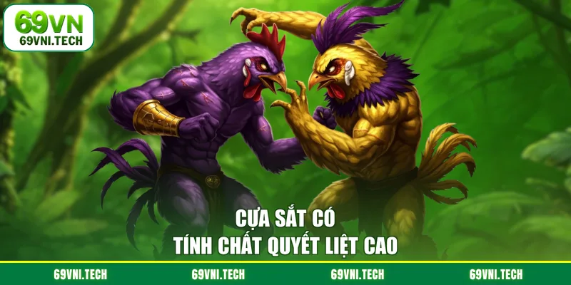 Cựa sắt có tính chất quyết liệt cao
