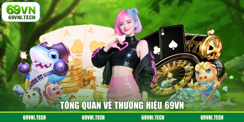 Tổng quan về thương hiệu 69VN